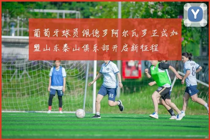 葡萄牙球员佩德罗阿尔瓦罗正式加盟山东泰山俱乐部开启新征程