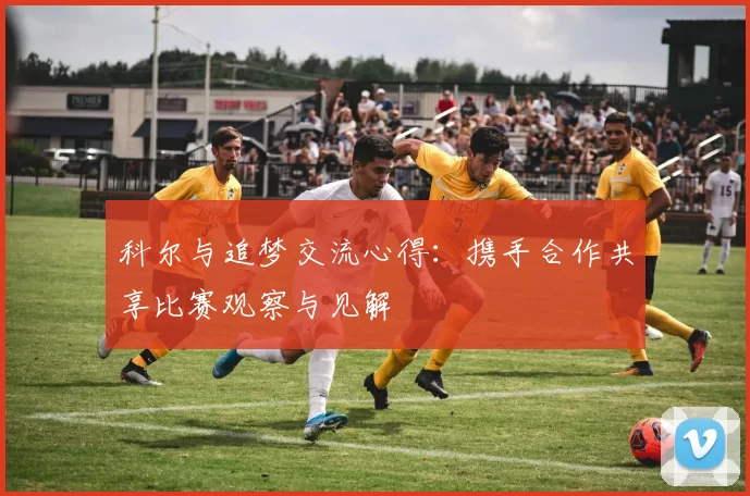 科尔与追梦交流心得：携手合作共享比赛观察与见解